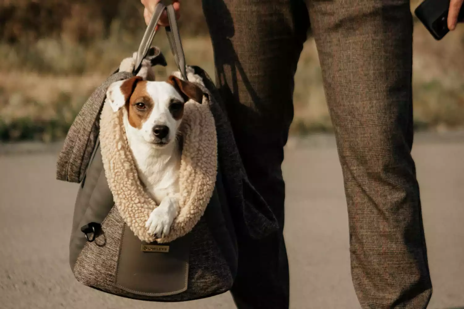 Dog Carrier Purse for Pug