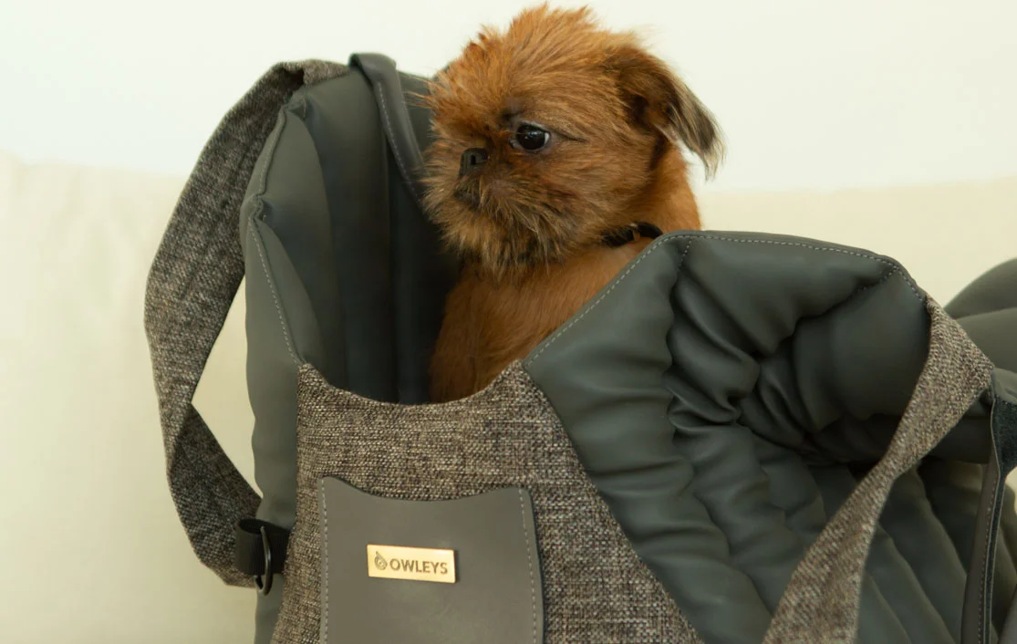 Toy Poodle Dog Carrier Car Seat for Hyundai Elantra