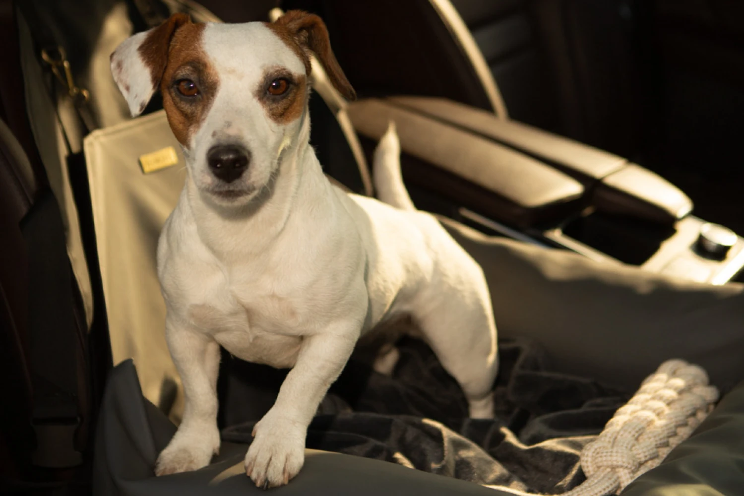 Shar-Pei Dog Car Seat for Chevrolet Equinox