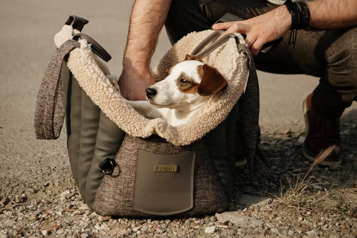 Dog Carrier Purse for Finnish Spitz