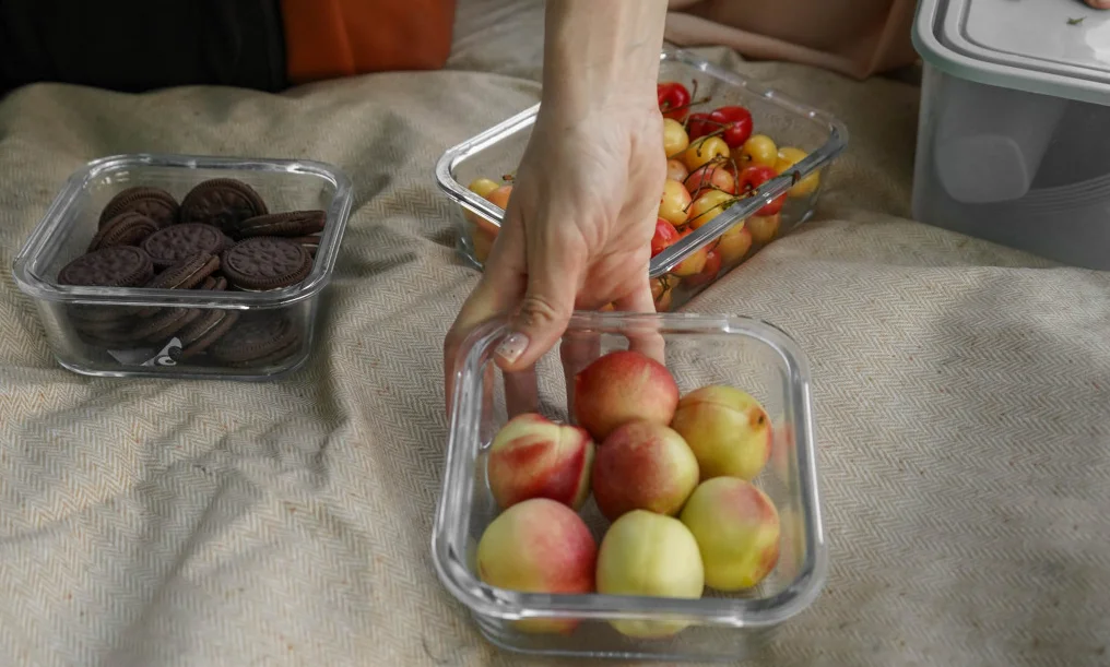 camping picnic blanket