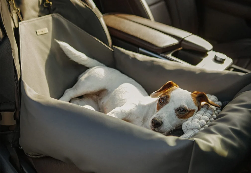 Chevrolet Equinox Dog Car Seat for American Eskimo Dogs