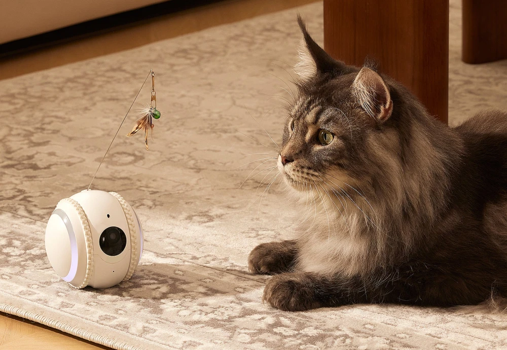 best camera for pets at home