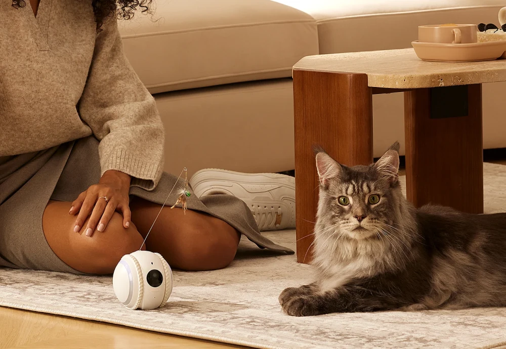 pet camera for cats