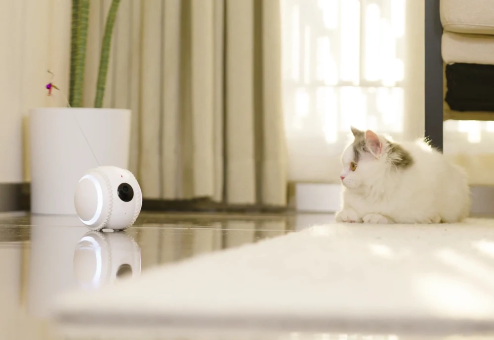 best pet surveillance camera