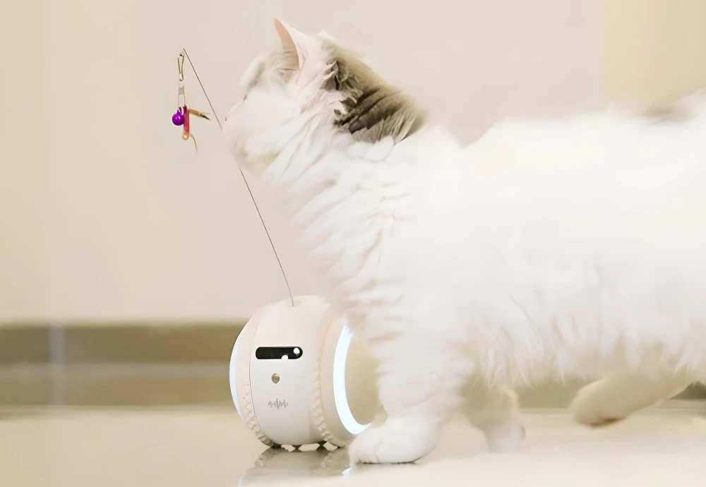 best security camera for pets