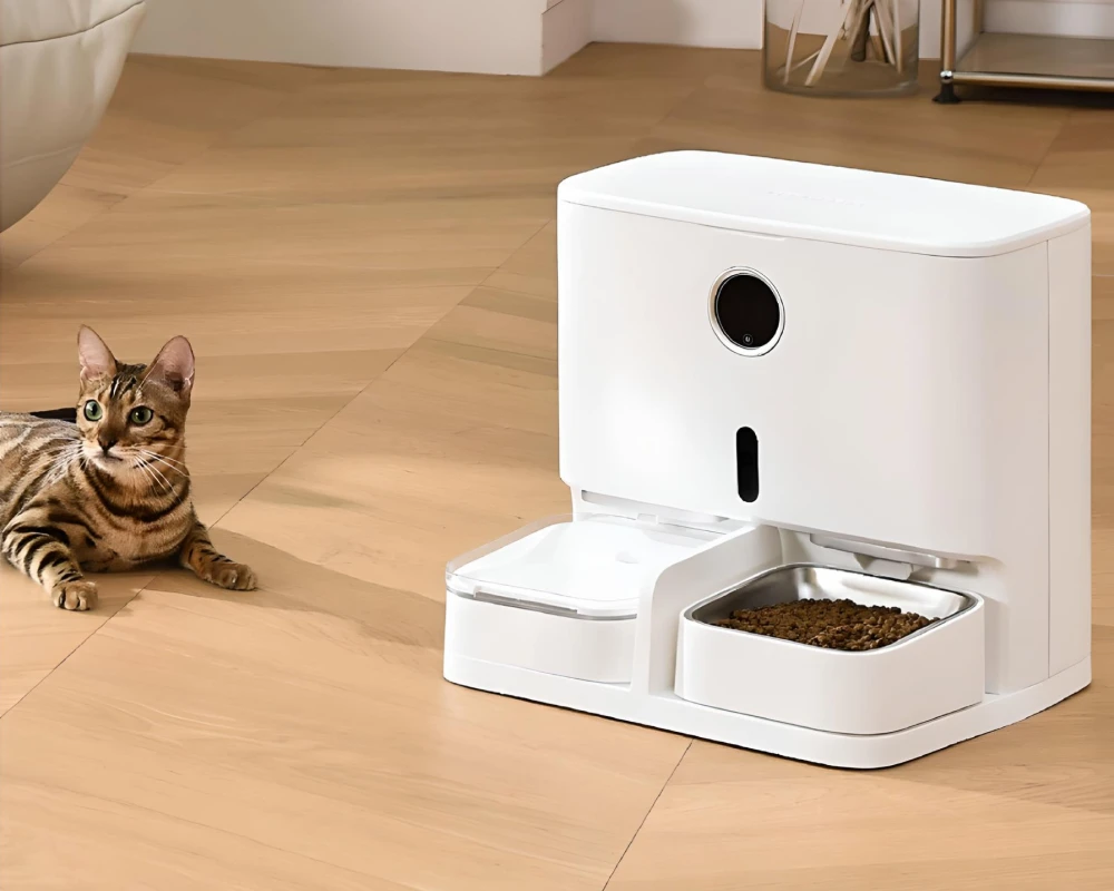 automatic dog feeding station