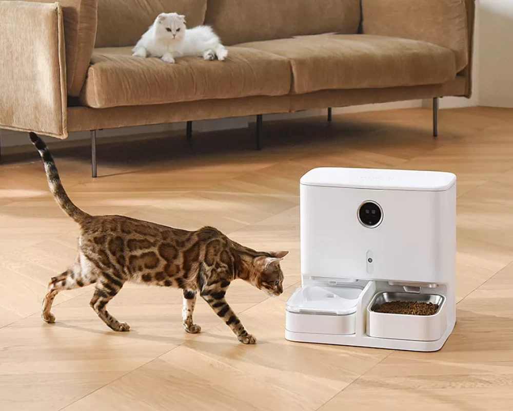 automatic electronic pet feeder