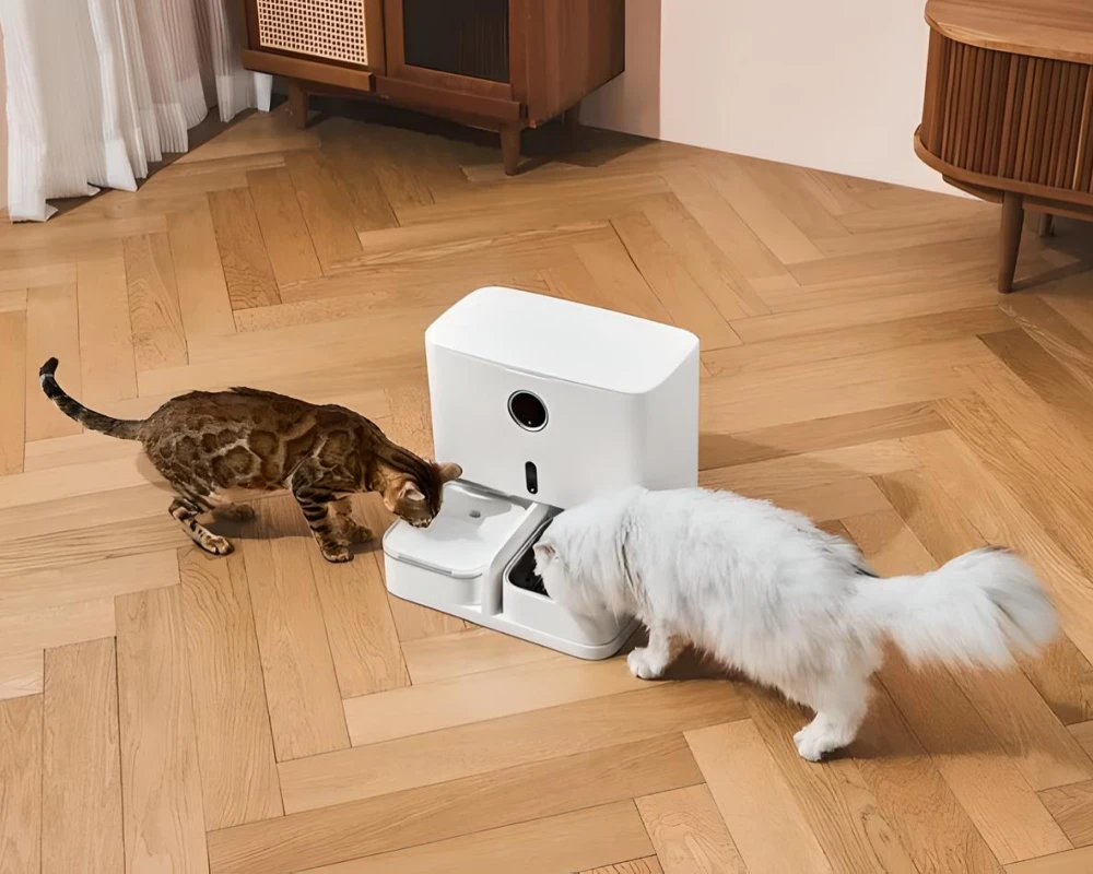 smart automatic pet feeder